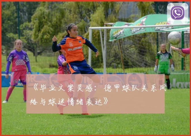 《毕业文案灵感：德甲球队关系网络与球迷情绪表达》
