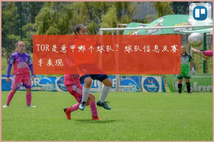 TOR是意甲哪个球队？球队信息及赛季表现