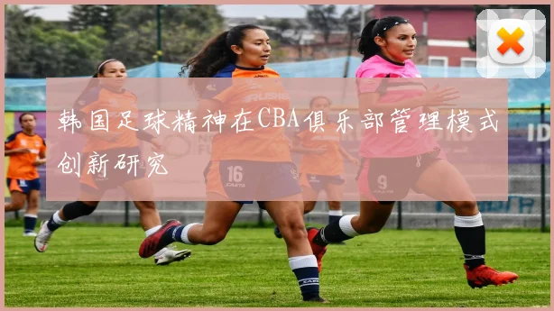 韩国足球精神在CBA俱乐部管理模式创新研究